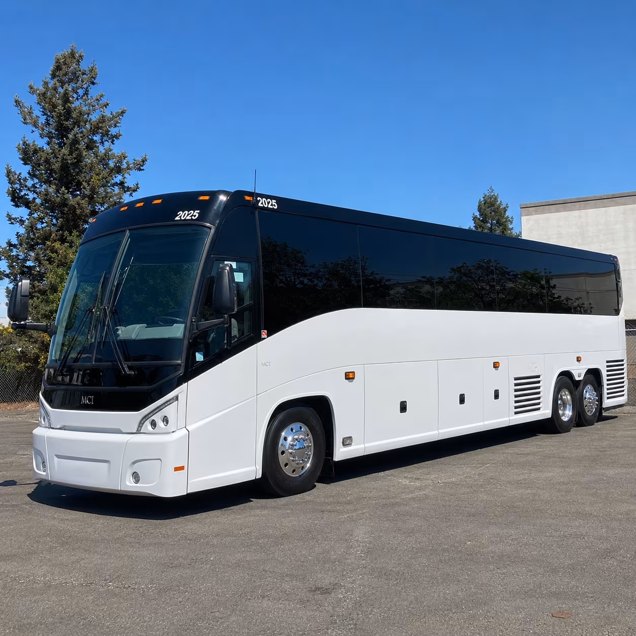 arrange transportation for your next birthday 3